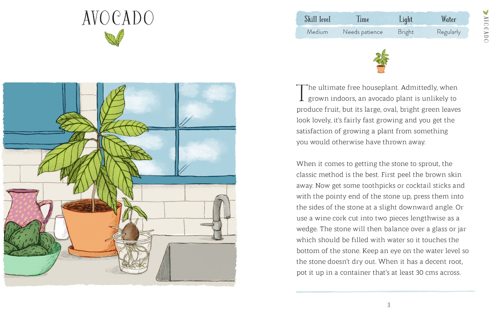 The Windowsill Gardener