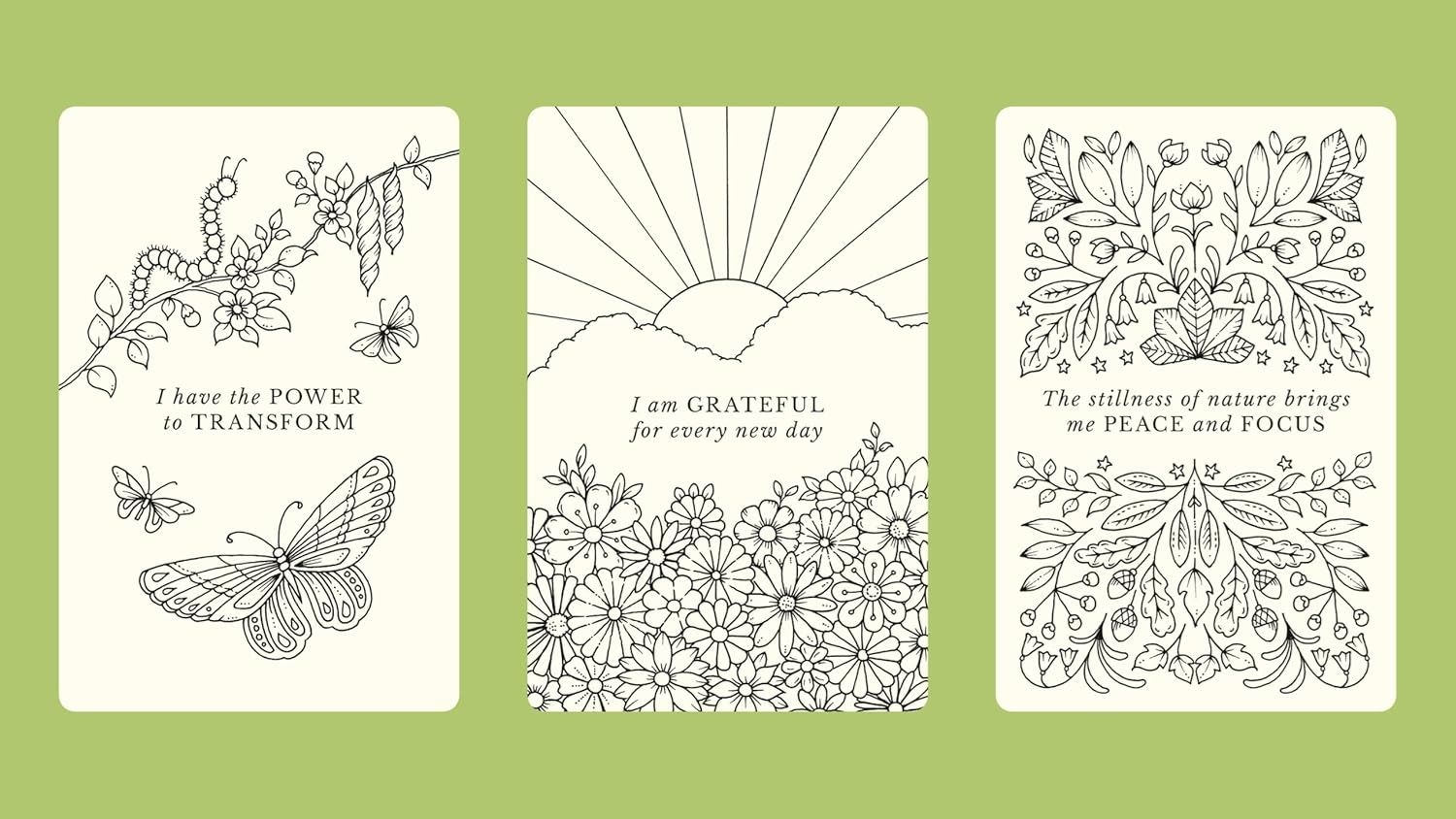 Notes from Nature: 30 Affirmation Cards to Colour