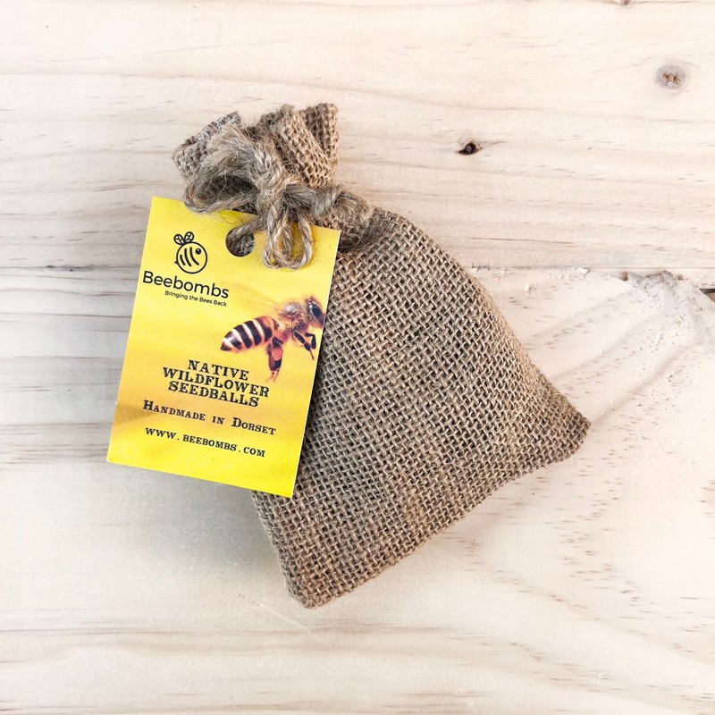 Beebombs Wildflower Seed Balls buy online or call 02844 616 160