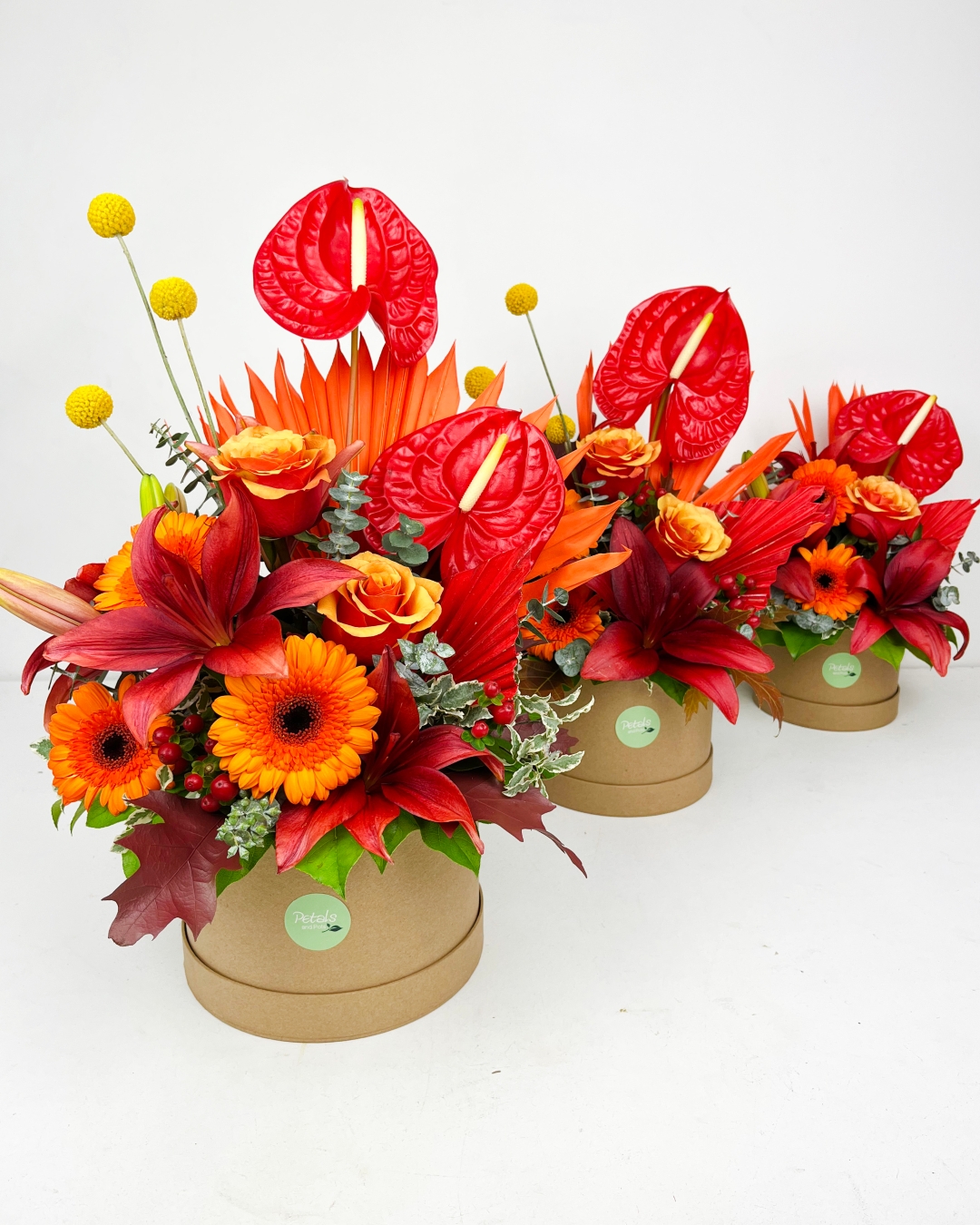 Bonfire Night Hatbox