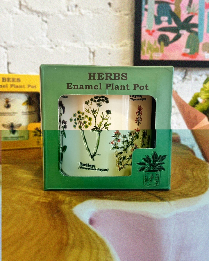 Herbs Enamel Plant Pot