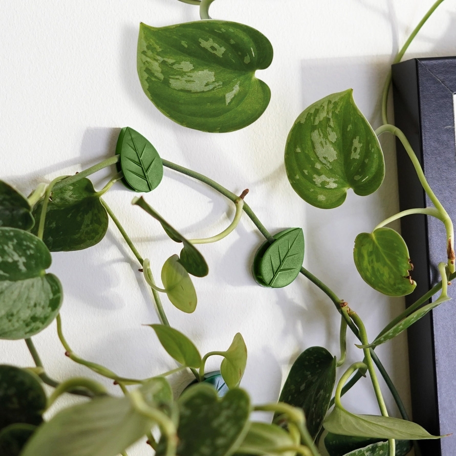 Houseplant climbing clips