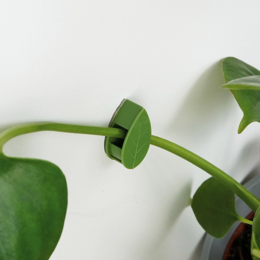 Houseplant climbing clips