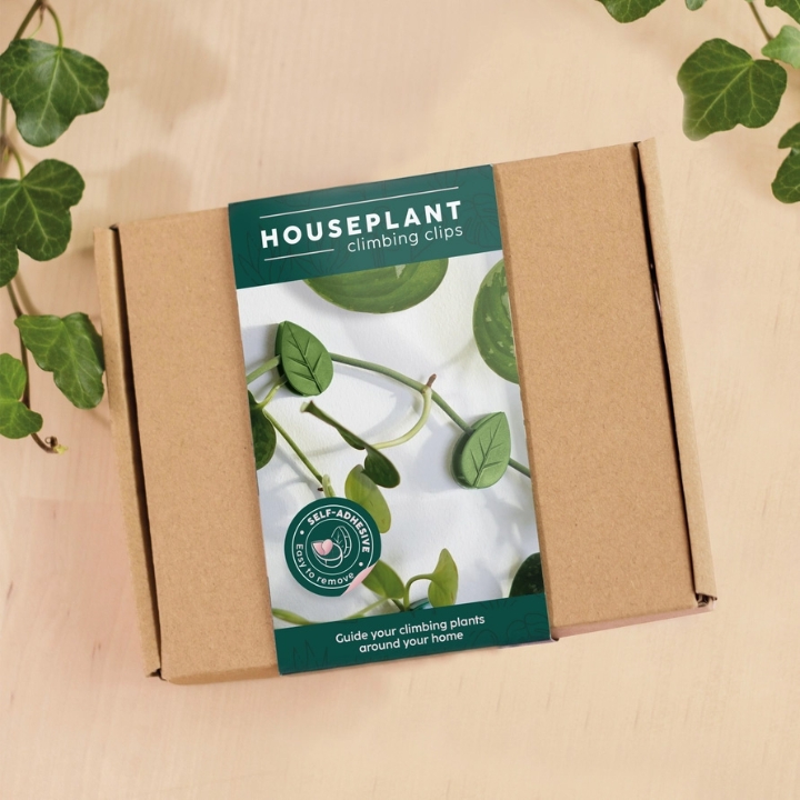 Houseplant climbing clips