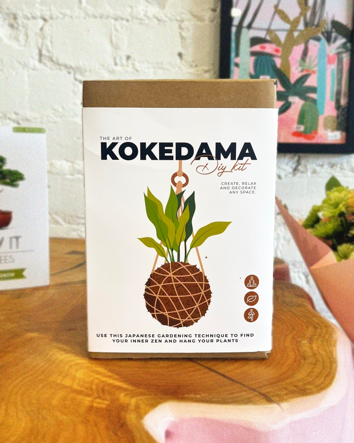 The Art of Kokedama DIY Kit