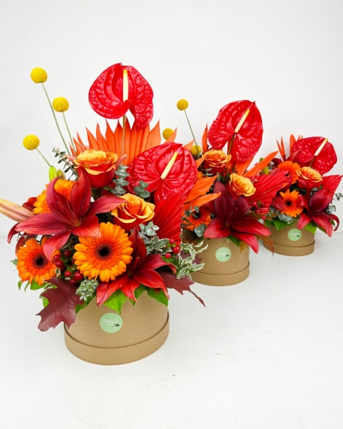 Bonfire Night Hatbox