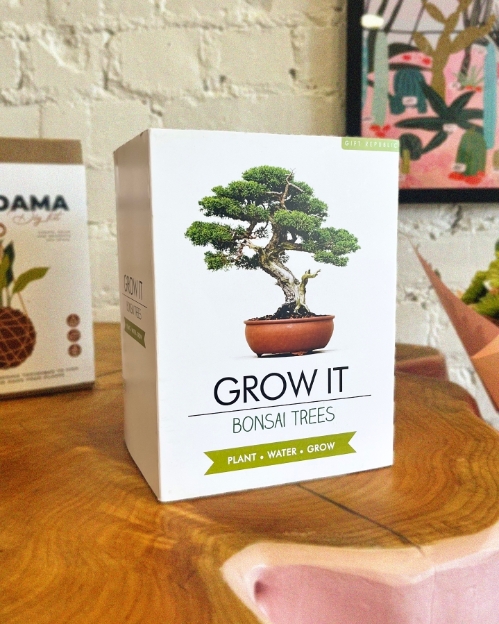 Bonsai Tree Grow It Kit
